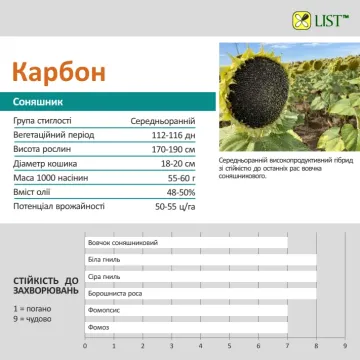 Carbon