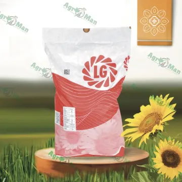 ЛГ50545 КЛП