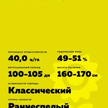 Махаон