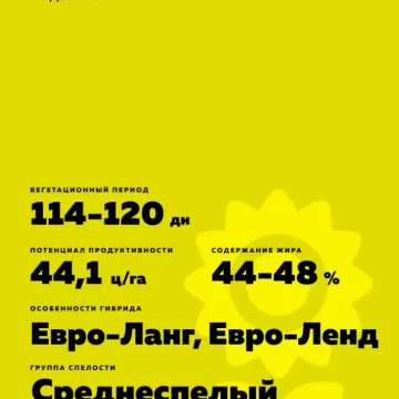Н 981 А