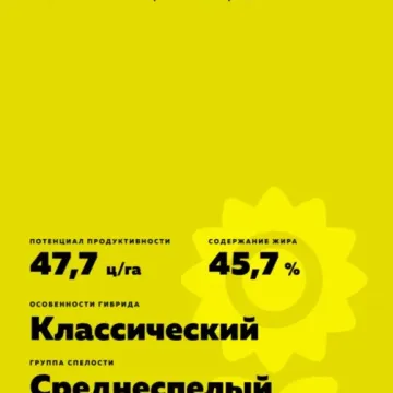 НС Фантазия