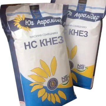 НС Кнез