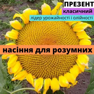 Подарунок АМ