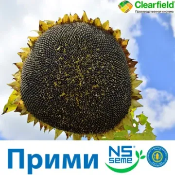 Прими