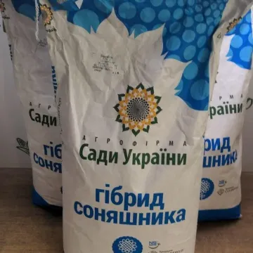 П'ятий елемент