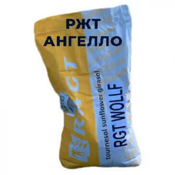 РЖТ Ангелло