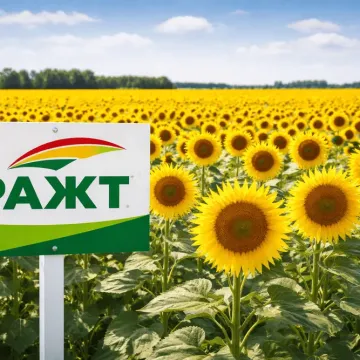 РЖТ Феноменалль