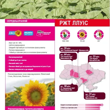 РЖТ Ллуис