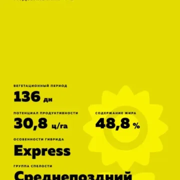 Сульфонор
