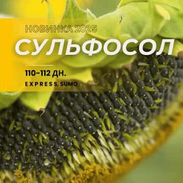 Сульфосол