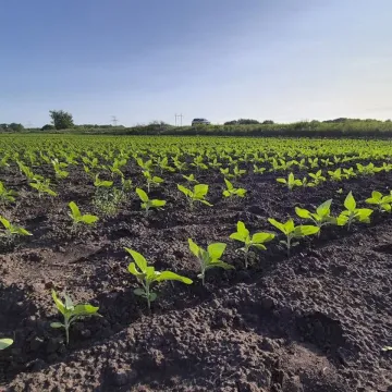 Тайм