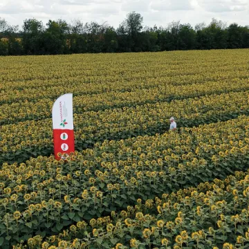 Вперёд