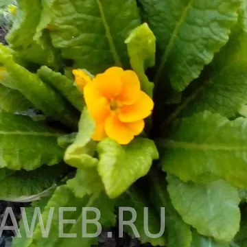 День Победы
