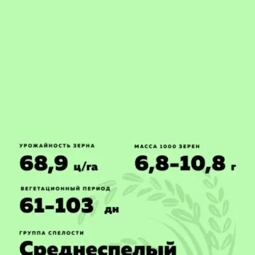 Атлет