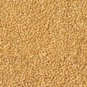 Харьковское кормовое