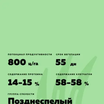 Нутрифид