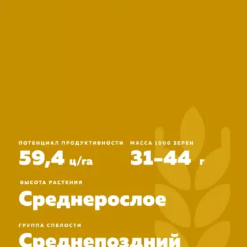 Апасовка