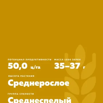 Ария