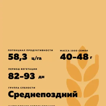 АТП Прима