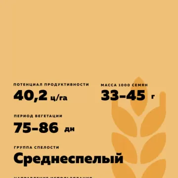 Целинница
