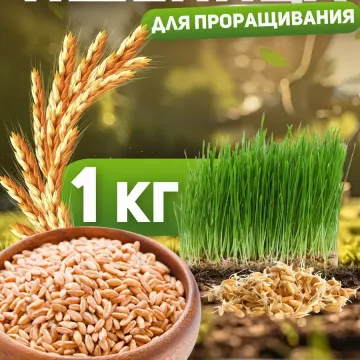 Dnepryanka