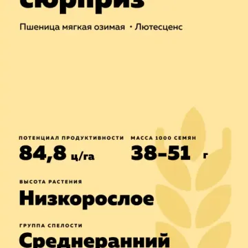 Донской Сюрприз