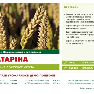 Екатерина