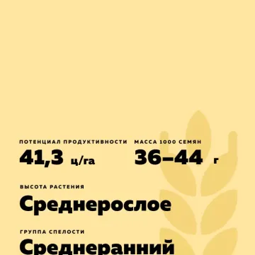 Еланская