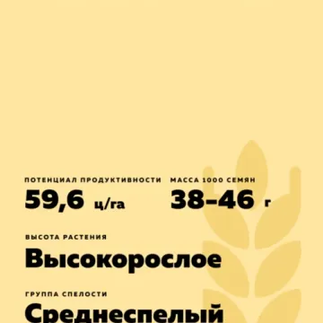 Илот