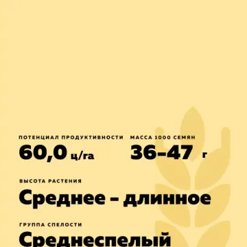 КАМЫШАНКА 3