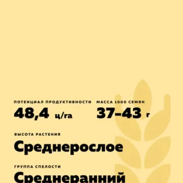 Камышанка