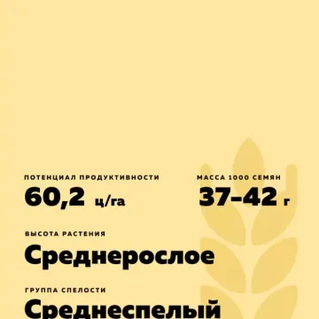 КАМЫШАНКА 9