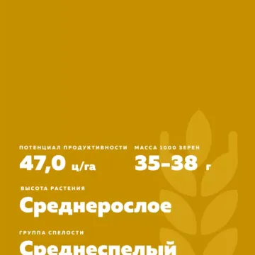 Катюша