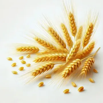 Лесная песня