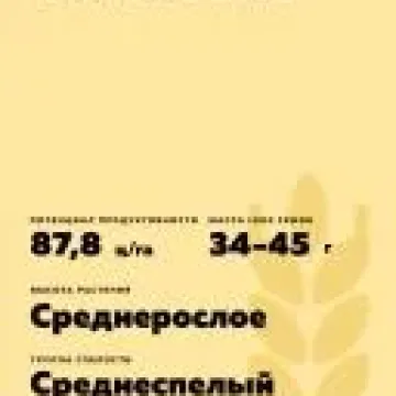 Майкопчанка