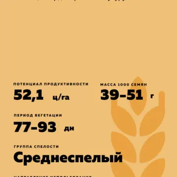 Марина