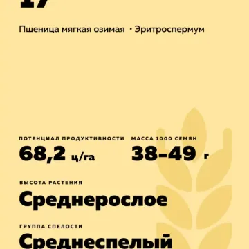 НІМЧИНІВСЬКА 17
