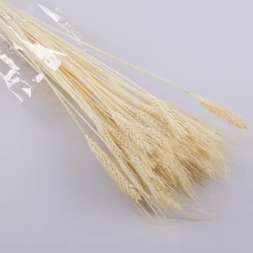 NIL