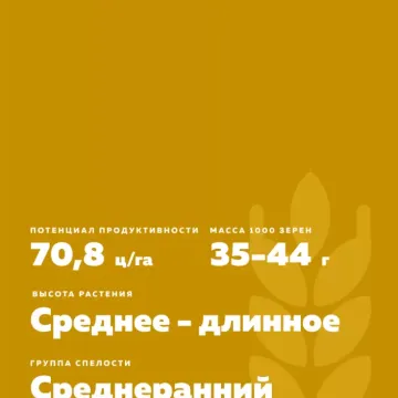 НИВА 55