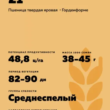 ОРЕНБУРГСКАЯ 21