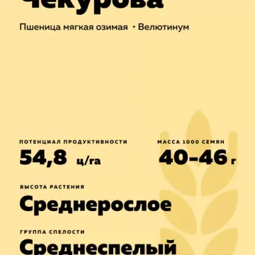 CHEKUROV MEMORIAL