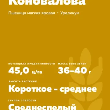 ПАМ'ЯТІ КОНОВАЛОВА