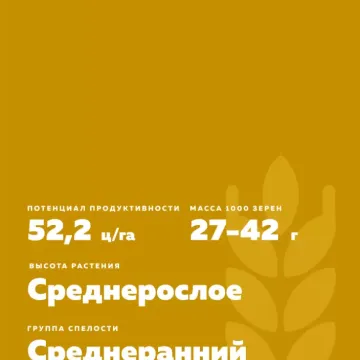 Памяти Юдина