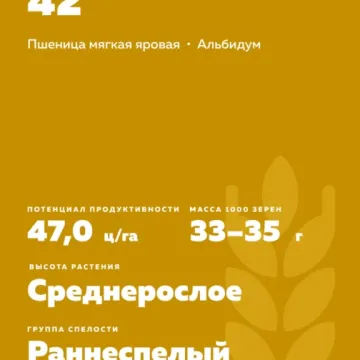 САРАТОВСКАЯ 42