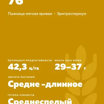 САРАТОВСКАЯ 76