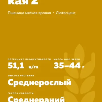 СТОЛЫПИНСКАЯ 2