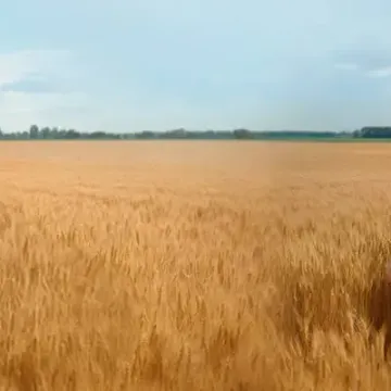 ШТРУ 080150с5