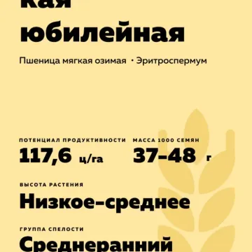 Тімірязєвська Ювілейна