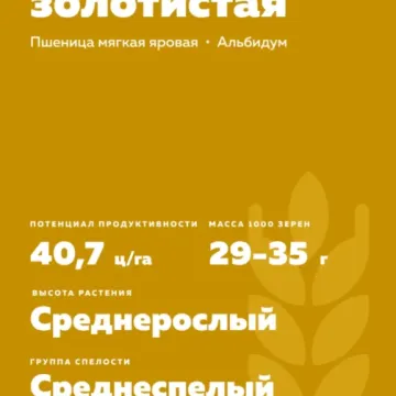 Тулайковская Золотистая