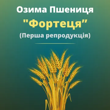 Херсонська Фортеця